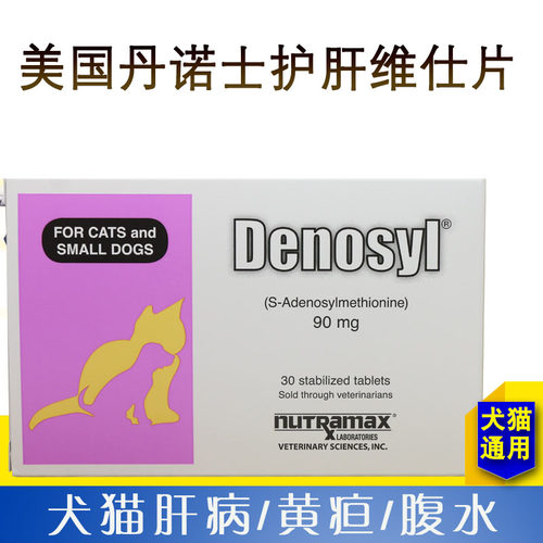 丹诺士猫素材模板-丹诺士猫图片下载- 小麦优选