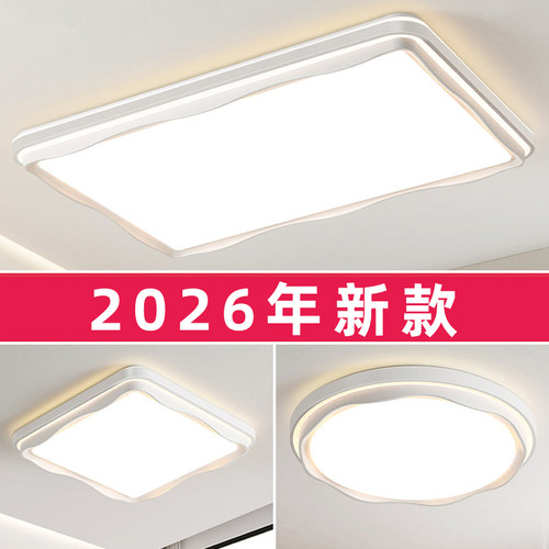 客厅主灯简约现代大气
