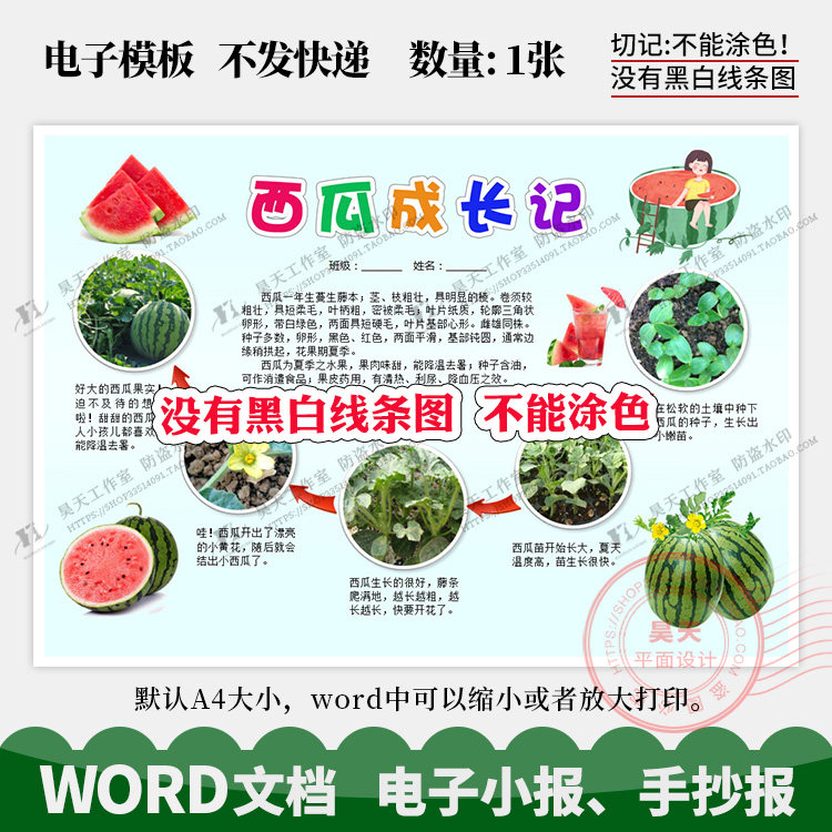 西瓜成长记录手抄报植物成长观察日记彩色word可编辑电子小报d012