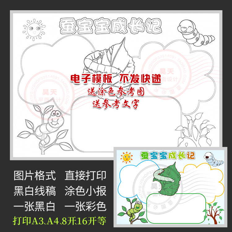 自然笔记蚕宝宝成长记养蚕生长过程手抄报黑白涂色电子小报a044