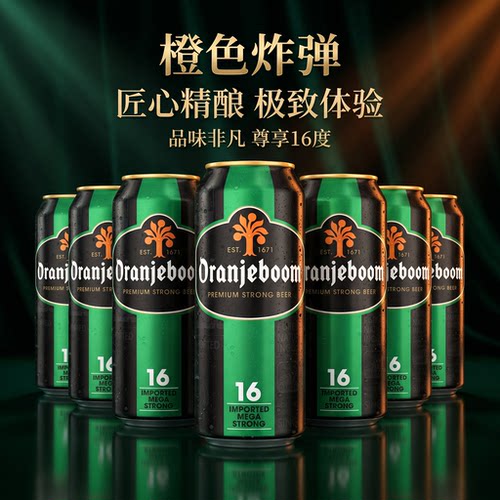 荷兰橙色炸弹16度烈性啤酒24罐