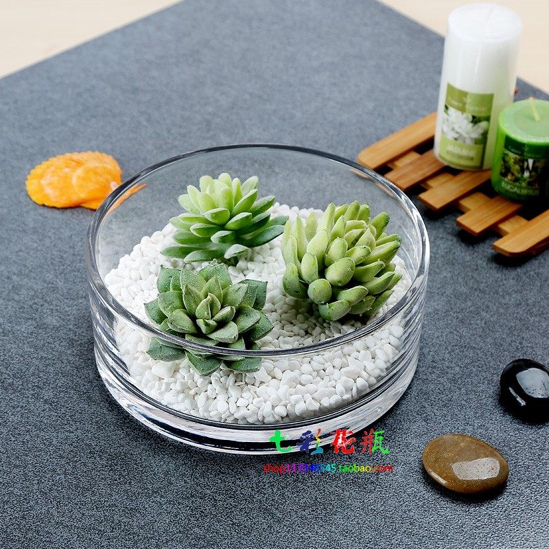 大号玻璃花盆水培容器多功能植物