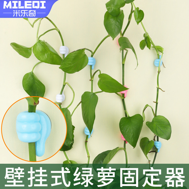 绿萝爬墙神器绿植墙面固定器绿色植物枝叶挂钩爬藤整理器卡扣夹子