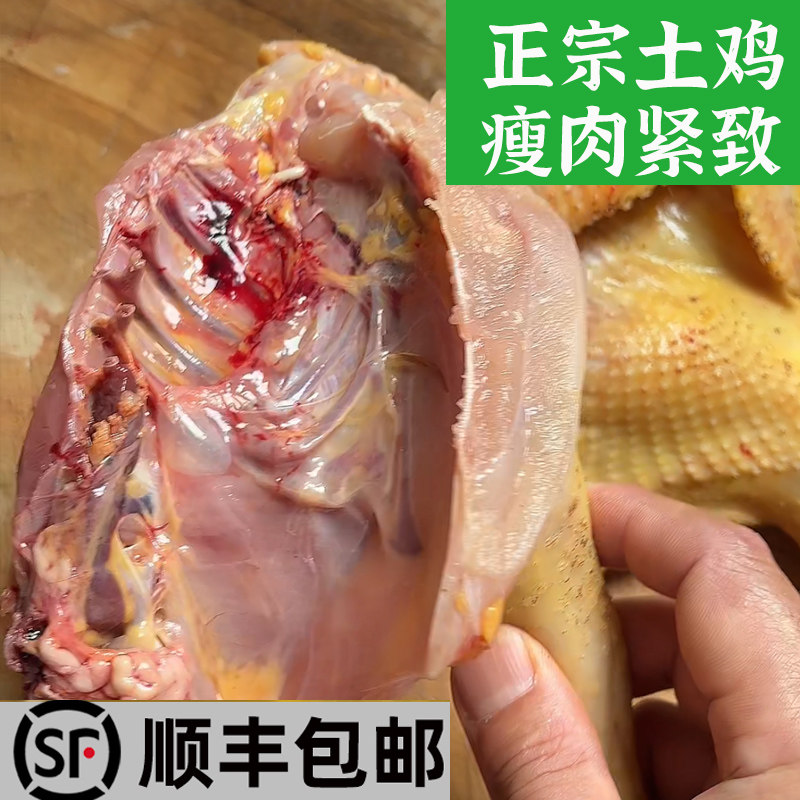 顺丰正宗土鸡散养鸡农家跑山鸡生态走地鸡冷链湖南地标产品湘黄鸡