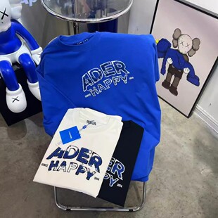 百搭 T恤女宽松纯棉休闲上衣男圆领情侣款 秋冬季 刺绣工艺字母短袖