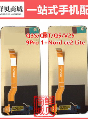适用于 Realme Q3S Q3T Q5 V25 9Pro 1+ Nord ce2 Lite 屏幕总成