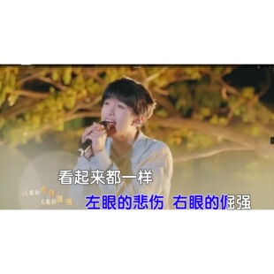 张震岳、黄子弘凡 推开世界的门 1080p MP4视频原版伴奏KTV字幕