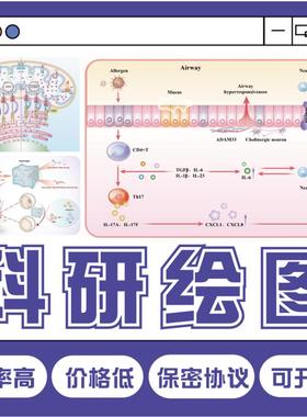科研绘图SCI期刊封面图设计医学插画示意图摘要TOC机制通路图