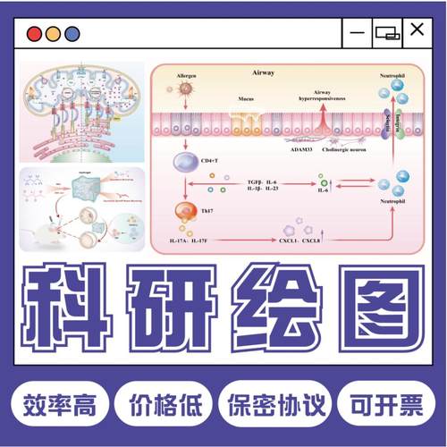 科研绘图SCI期刊封面图设计医学插画示意图摘要TOC机制通路图