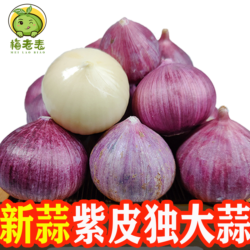 2025年新蒜云南紫皮独头蒜