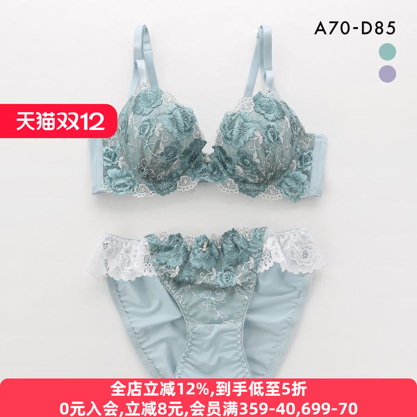 诗萝涵朵集中聚拢收副乳文胸套装