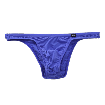 TM日本制性感男士低腰三角内裤