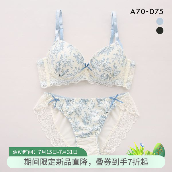 詩蘿涵朵小胸顯大聚攏文胸套裝