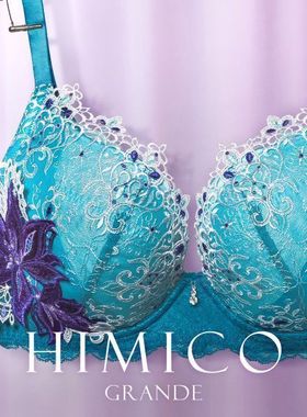 HIMICO大码内衣上托侧收防外扩收副乳重工蕾丝刺绣性感风文胸G002