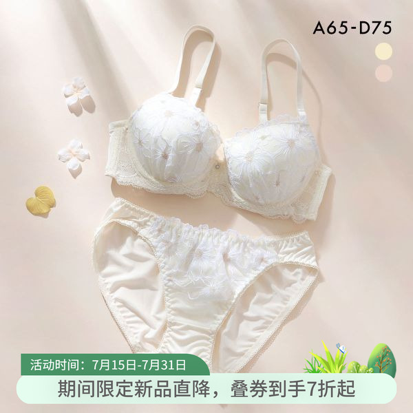 聚攏小胸顯大性感純欲文胸套裝