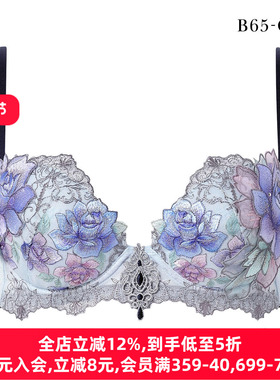 华歌尔Salute内衣女聚拢小胸显大收副乳重工刺绣蕾丝性感文胸23G