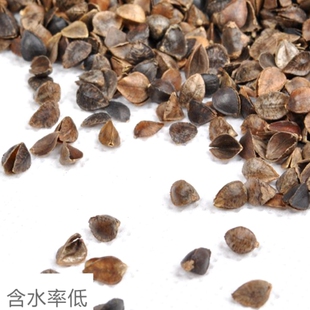 特价高品质干净成壳率高干燥甜荞麦壳论250克一份散卖