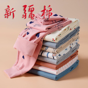 纯棉秋裤秋冬内穿线裤