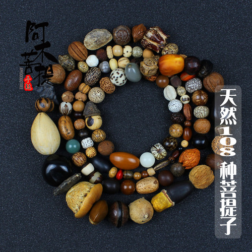 多宝108种星月念珠金刚菩提子
