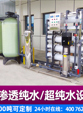 大型工业RO双级反渗透纯净水edi超纯水高纯水生产设备水处理装置