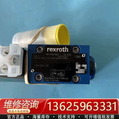 R900919870  DBWC30B2-5X/315Y6E[议价]