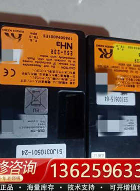 日本RIKEN理研气体检测仪 ESUS-23R，实物图片[议价]