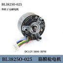BL3825筋膜枪电机外转子无刷电机DC12v3800转大扭矩mini无刷马达