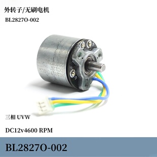 三相无刷（无驱动）BL2827O-002 DC12v 4600转滚珠轴承无刷小电机