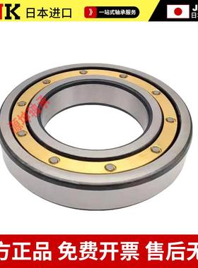 日本进口RNK铜保轴承6306M