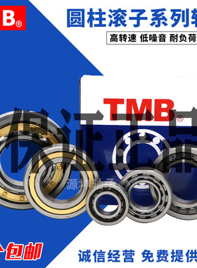 天马轴承TMB NU NJ N RN NUP 209 E EM ENV圆柱滚子轴承45*85*19
