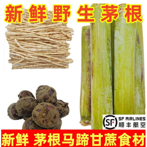 白茅根新鲜马蹄茅根蔗羊糖水