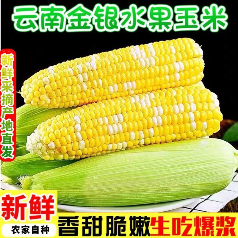 甜脆鲜食玉米爆浆多汁膳食纤维