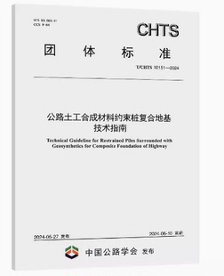 10151 2024公路土工合成材料约束桩复合地基技术指南 CHTS