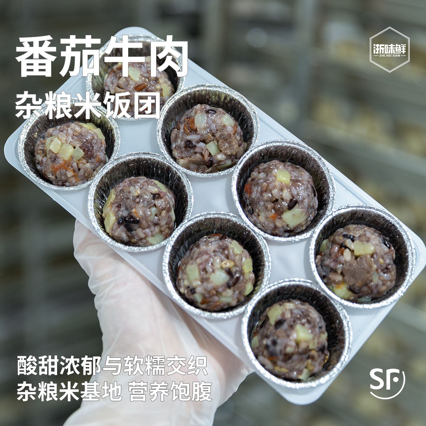浙味鲜 儿童营养早餐 番茄牛肉土豆杂粮米饭团  宝宝速冻早点