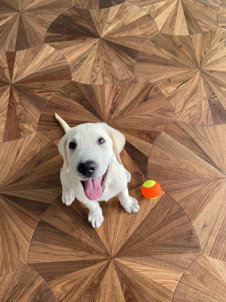 黑胡桃荷叶异形拼花木地板多层实木复合地板橡木烟熏木地板地热E0