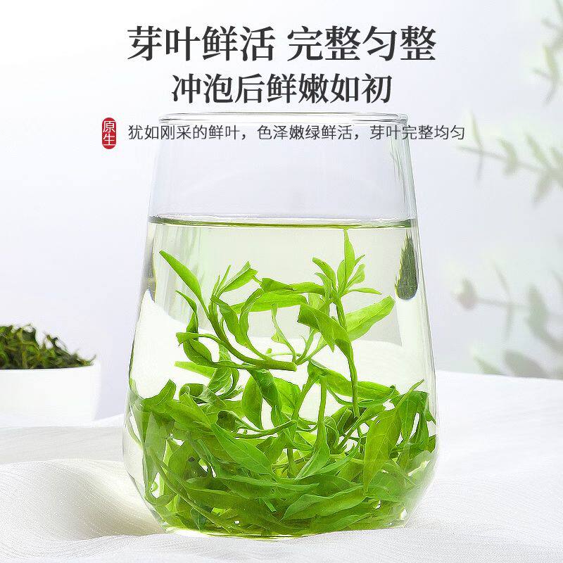 海南特产 小叶苦丁茶250g 正品新茶头采 野生嫩芽青山绿水苦丁茶