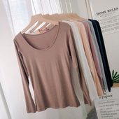 女士莫代尔秋衣超薄款 春秋 大圆领纯棉单件上衣保暖内衣低领打底衫