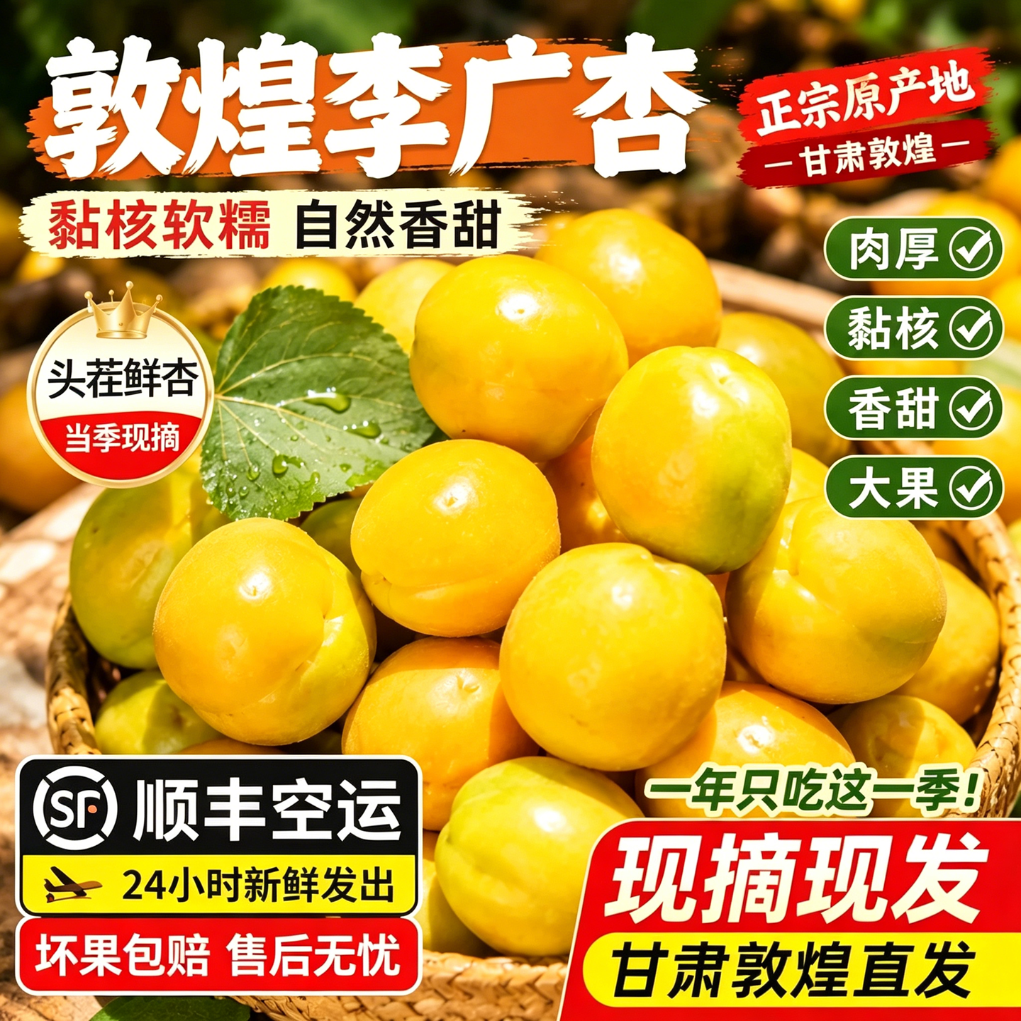 正宗敦煌李广杏特产杏子新鲜水果鲜杏甘肃敦煌杏顺丰包邮果园直供