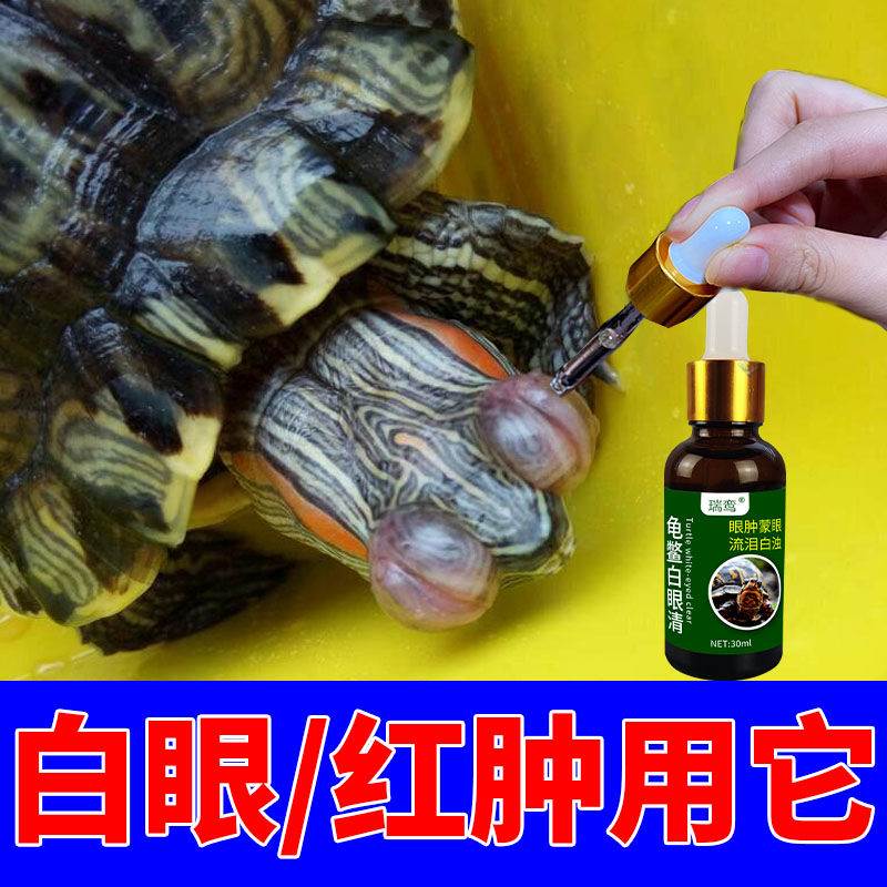 【乌龟白眼病专用】乌龟眼睛睁不开眼睛发炎红肿巴西龟白眼清护理