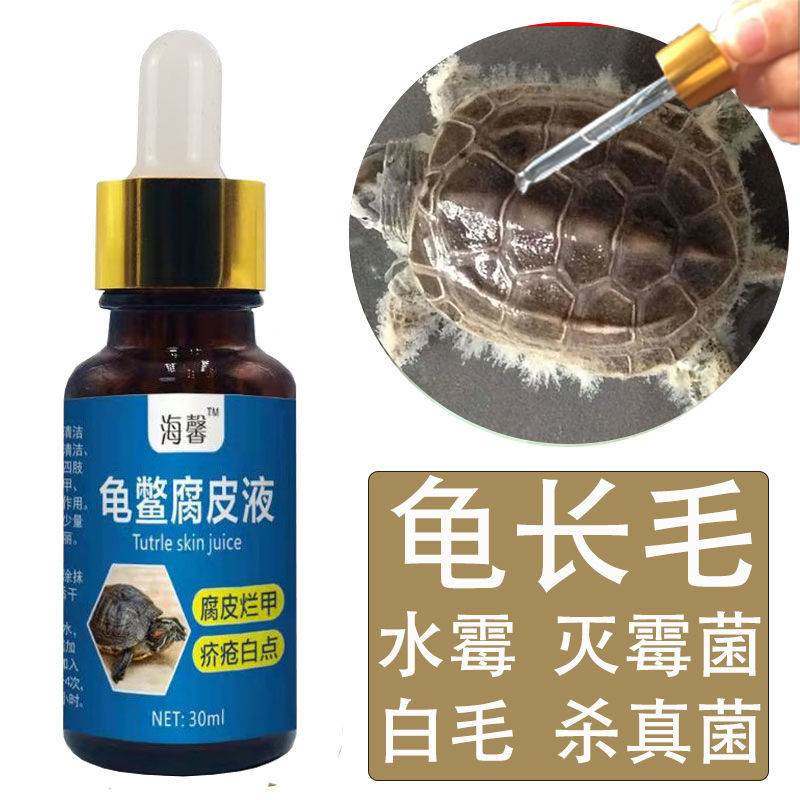 水霉病龟鳖白毛乌龟鳄龟草龟巴西灭霉菌杀真菌龟长毛药发霉专用