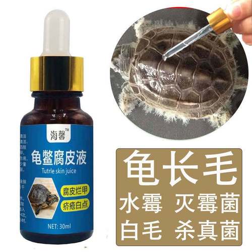 水霉病龟鳖白毛乌龟鳄龟草龟巴西灭霉菌杀真菌龟长毛药发霉专用