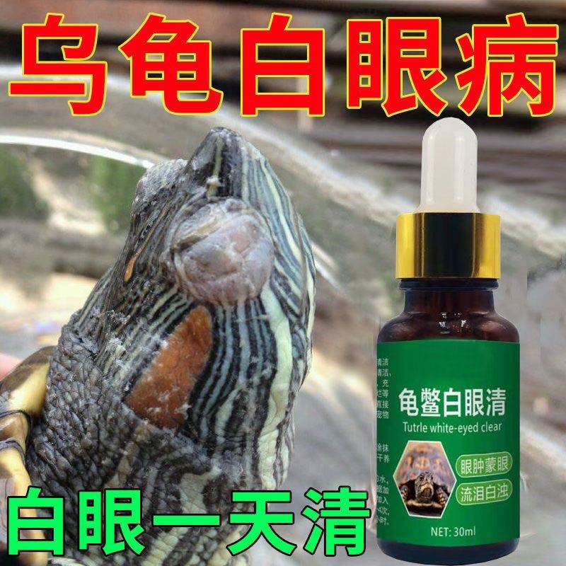 乌龟白眼病专用药乌龟通用眼睛肿胀蒙眼红眼乌龟专业护眼爬宠药
