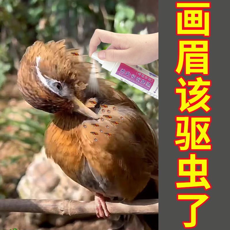 画眉专用驱虫药画眉鸟驱虫喷雾画眉体外驱虫驱虫鸟类驱虫喷剂