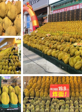 模型道具道具仿真水果榴莲假金枕