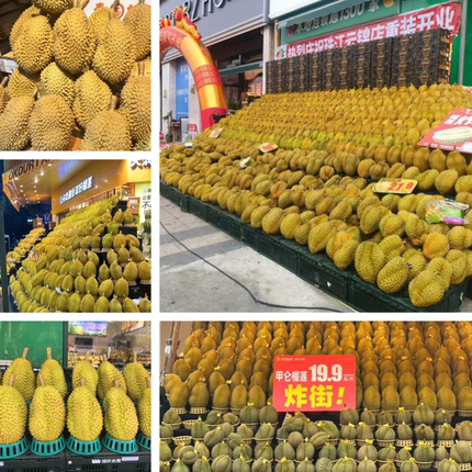 仿真榴莲模型假大金枕榴莲肉道具水果店橱窗装饰水果菠萝包邮