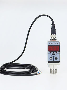 PY9060/PI2798/PI2789/PI003A/PNI024/PI008A智能压力开关控制器