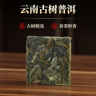 云南麻栗坡古树普洱茶生茶小方片云南文山国礼贡茶饼干茶8克茶叶