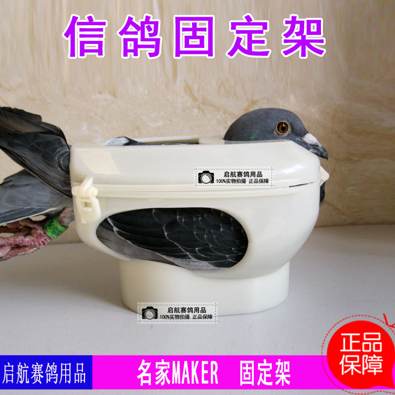 名家MAKER赛鸽固定喂药食器鹦鹉