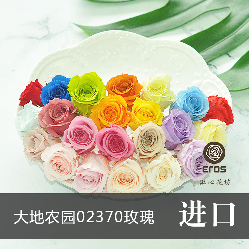 ÊçÐÄ»¨·»ÈÕ±¾ÓÀÉú»¨Ãµ¹å»¨02370ÓÀÉú»¨»¨²Ädiy²ÄÁÏÀñºÐÔ¿³×¿Û