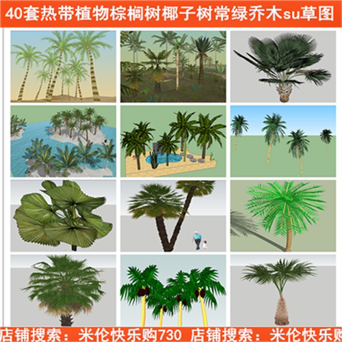 热带雨林森林东南亚滨海湾沙滩景观棕榈树椰子树草图大师SU模型库